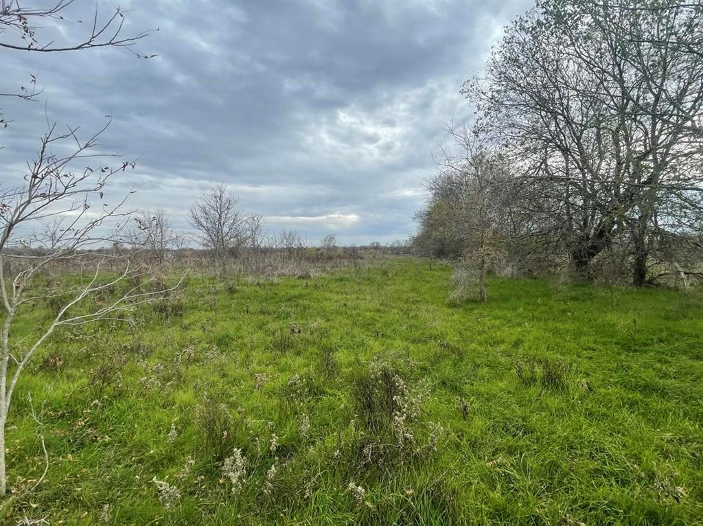 TBD County Rd 243/hwy 7, Kosse, Texas image 1