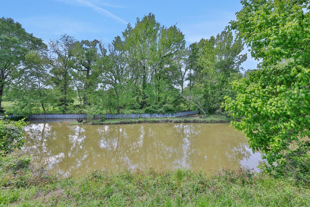 Rocky Creek Drive, Coldspring, Texas image 11
