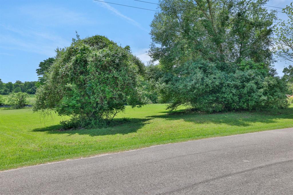 Rocky Creek Drive, Coldspring, Texas image 4