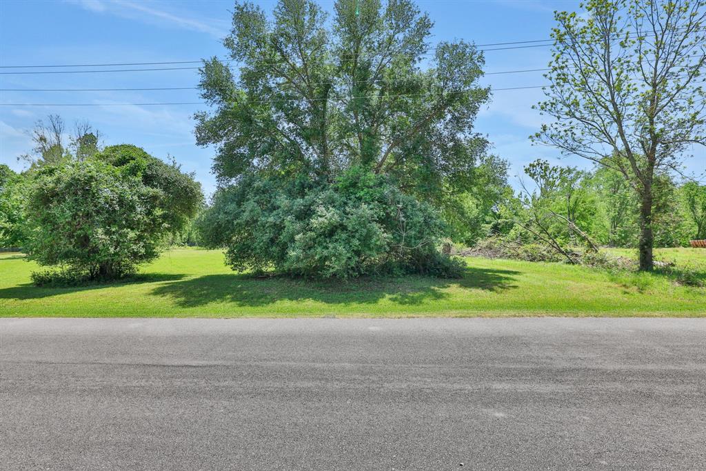 Rocky Creek Drive, Coldspring, Texas image 13