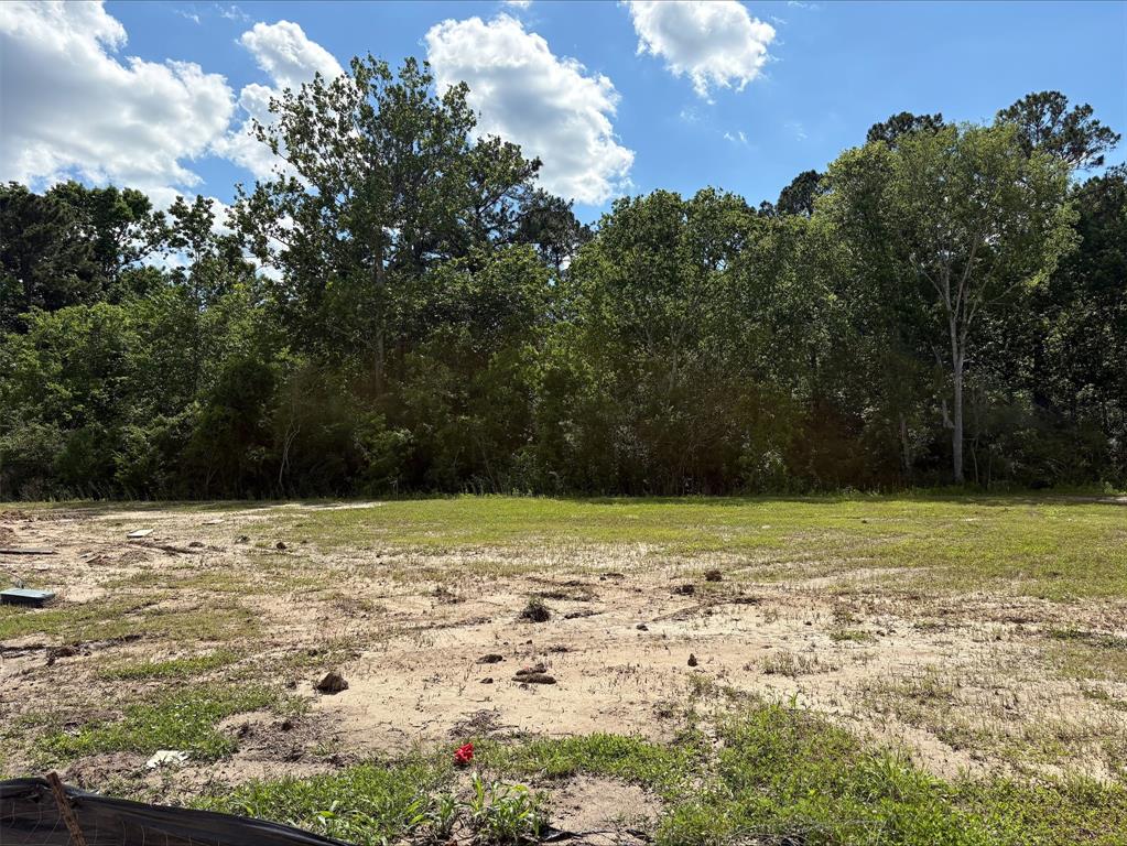 752 Westpointe Drive, Dayton, Texas image 24