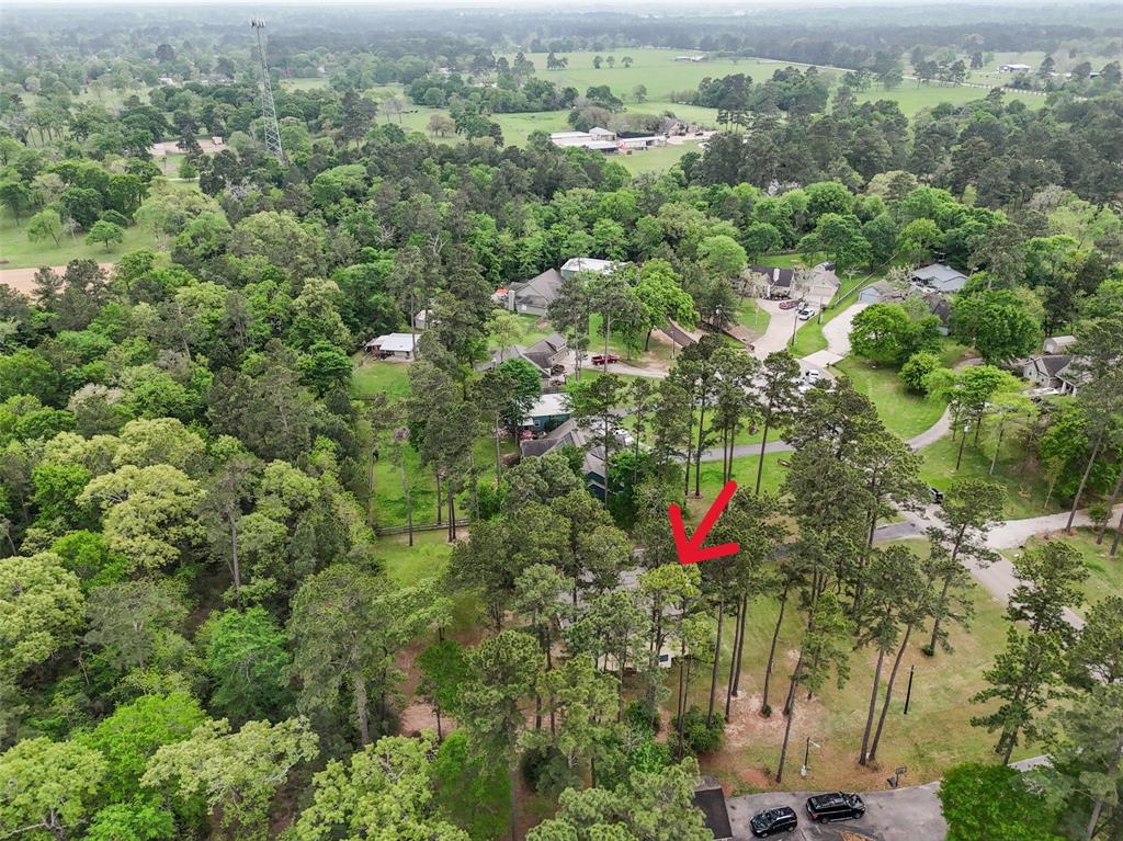 25680 Wisteria Lane, Hockley, Texas image 38