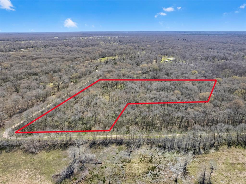 Buck Creek Road, Shepherd, Texas image 3