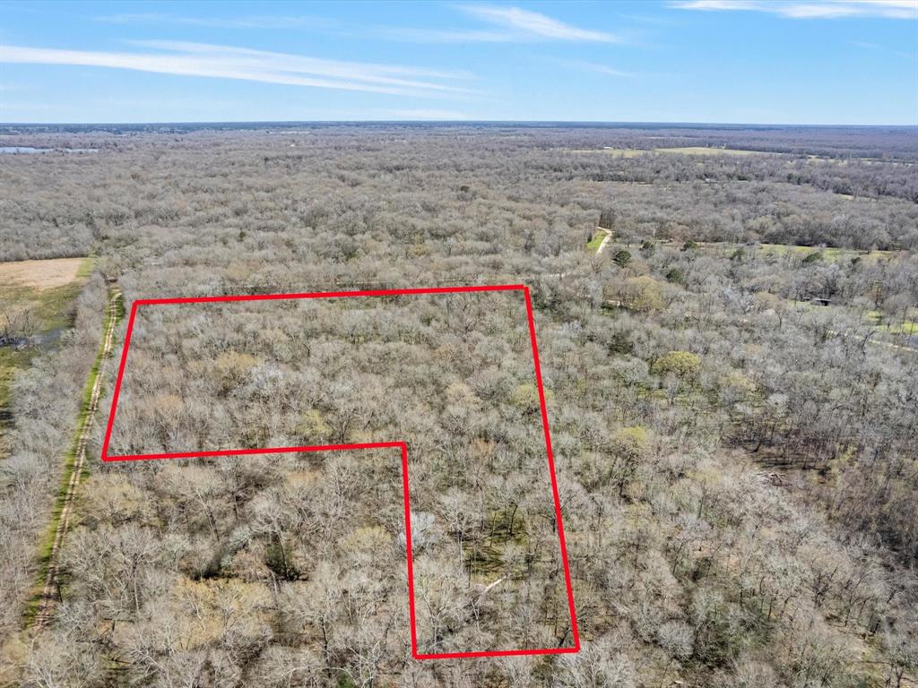 Buck Creek Road, Shepherd, Texas image 5