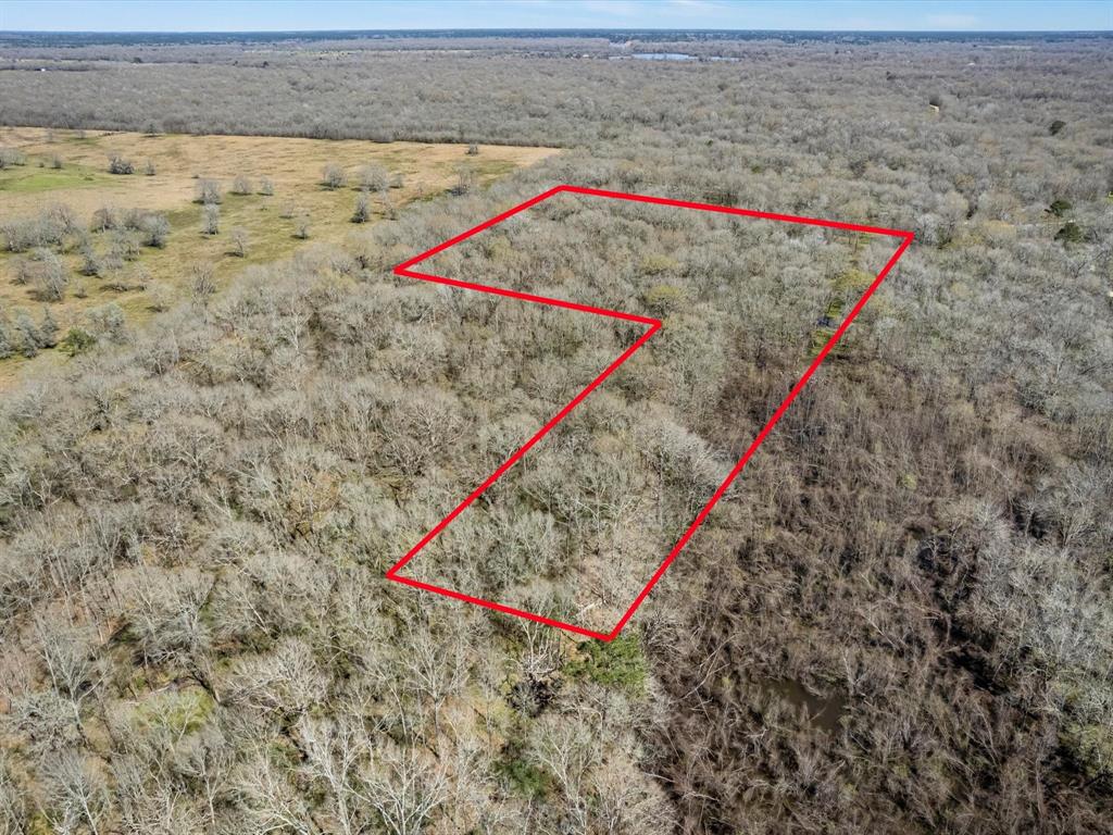 Buck Creek Road, Shepherd, Texas image 6