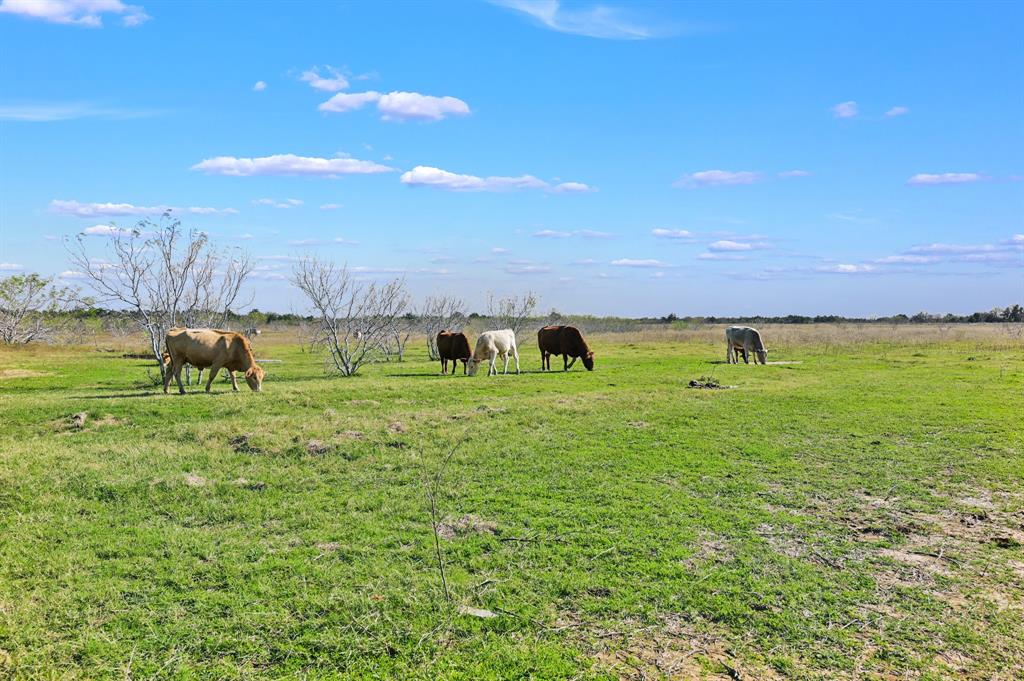 3448 Cr 270, Cameron, Texas image 28