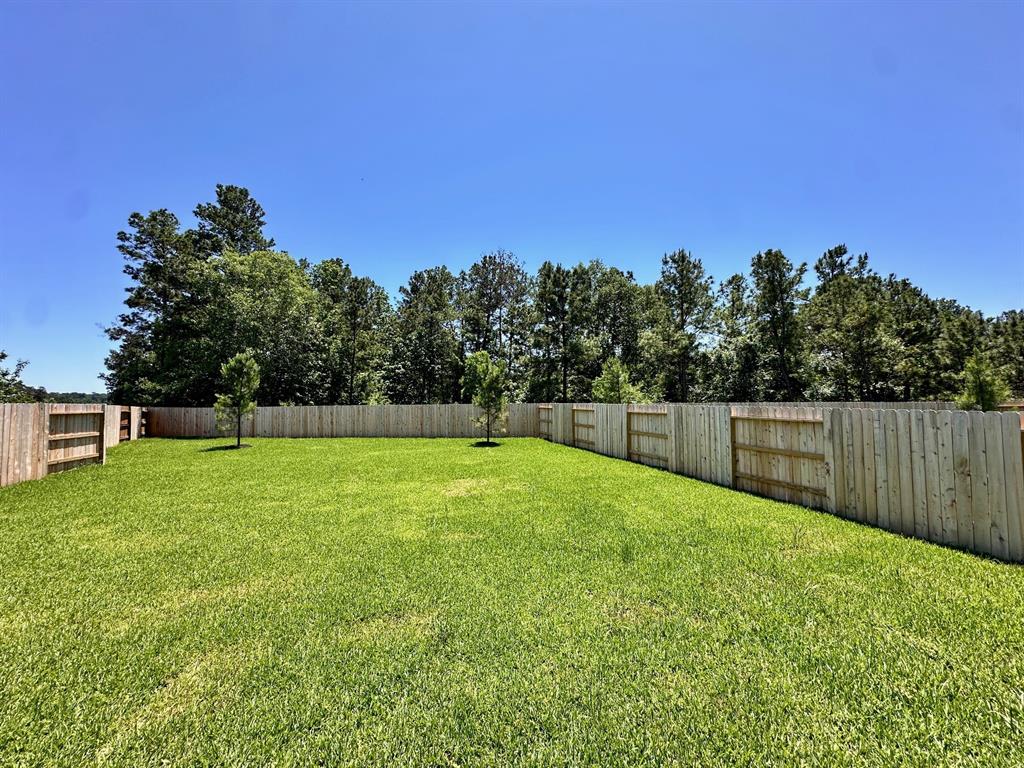 6011 Diamond Leaf Court, Conroe, Texas image 2
