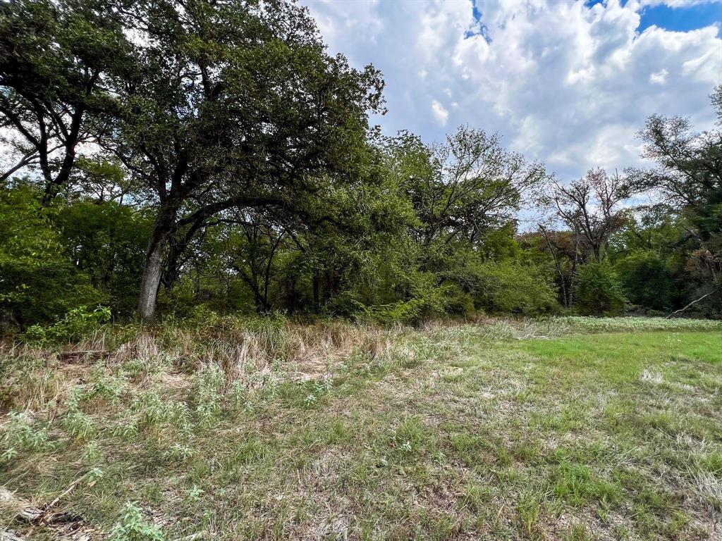 40 Acres Fm 2745, Kosse, Texas image 22