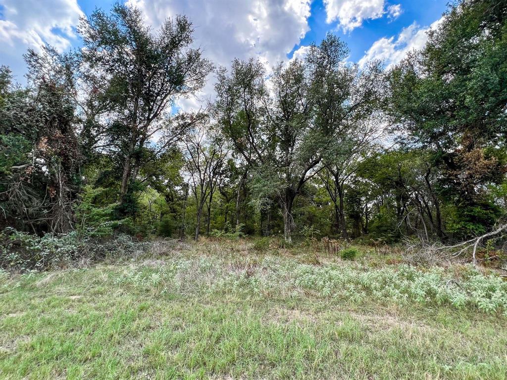 40 Acres Fm 2745, Kosse, Texas image 21