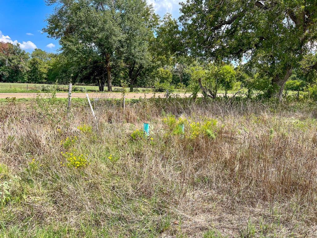 40 Acres Fm 2745, Kosse, Texas image 2