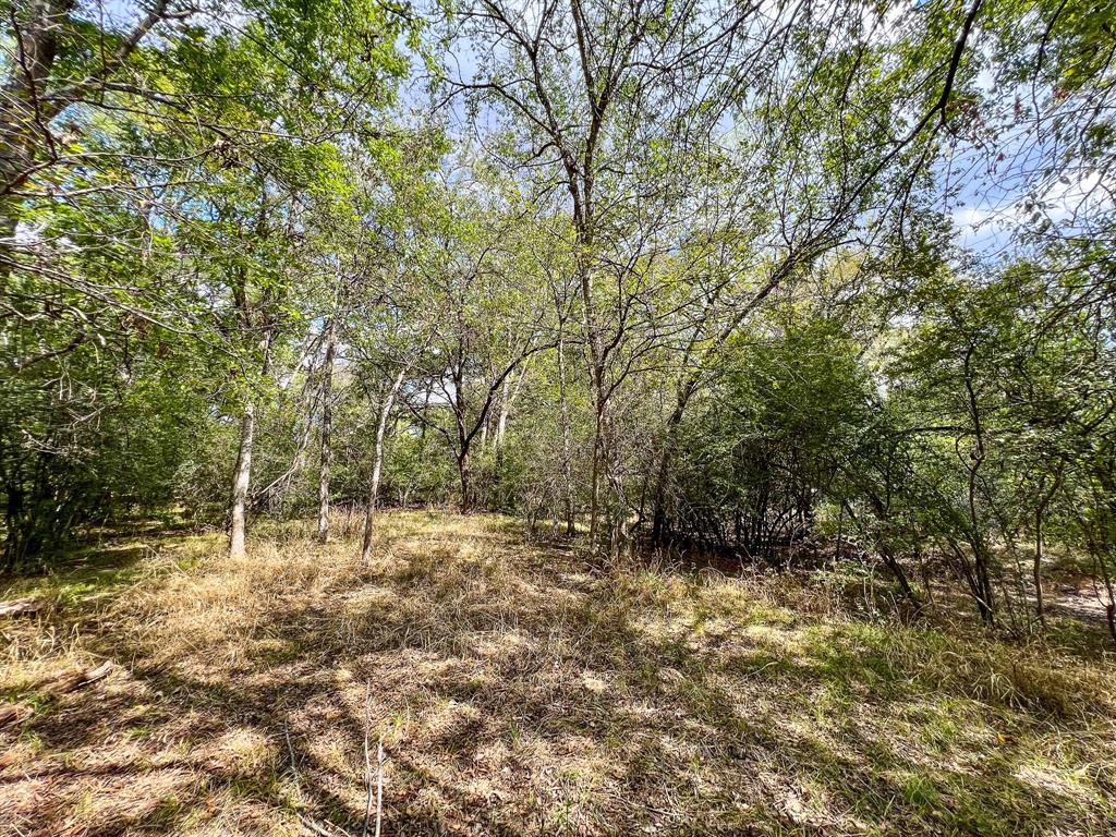 40 Acres Fm 2745, Kosse, Texas image 16