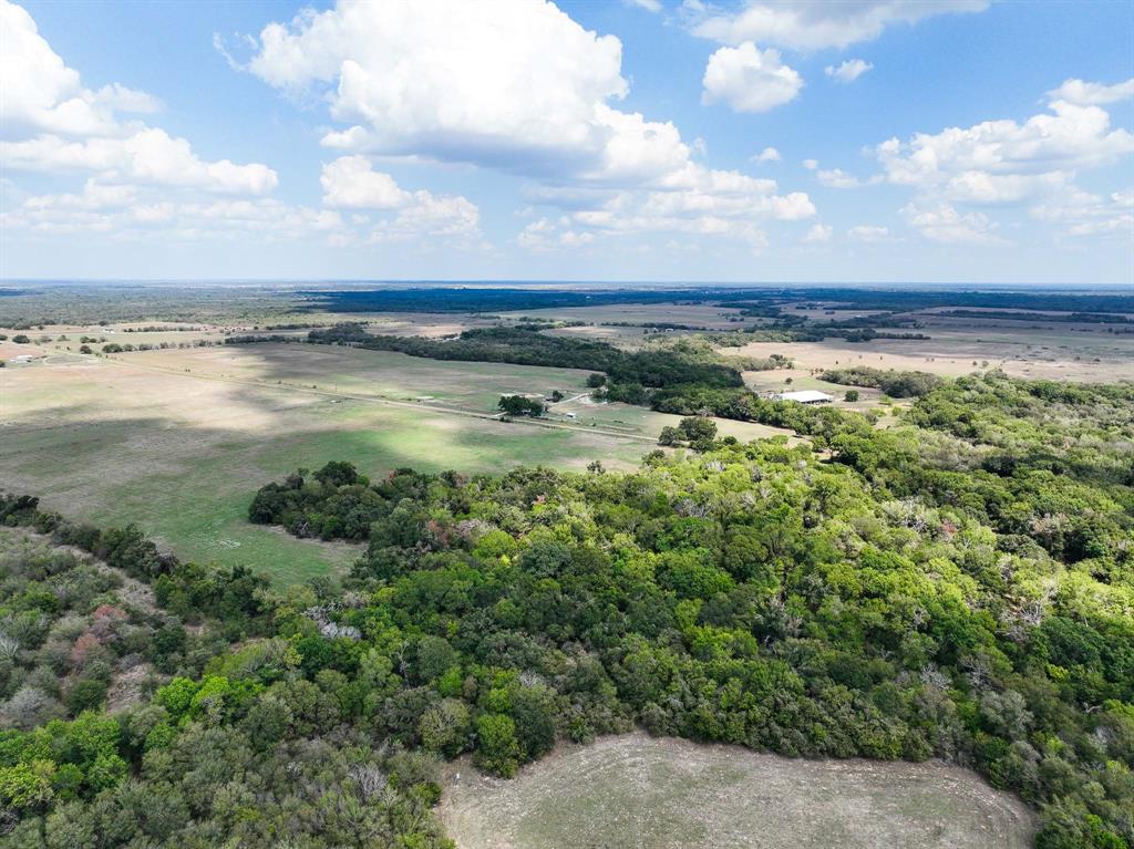 40 Acres Fm 2745, Kosse, Texas image 3