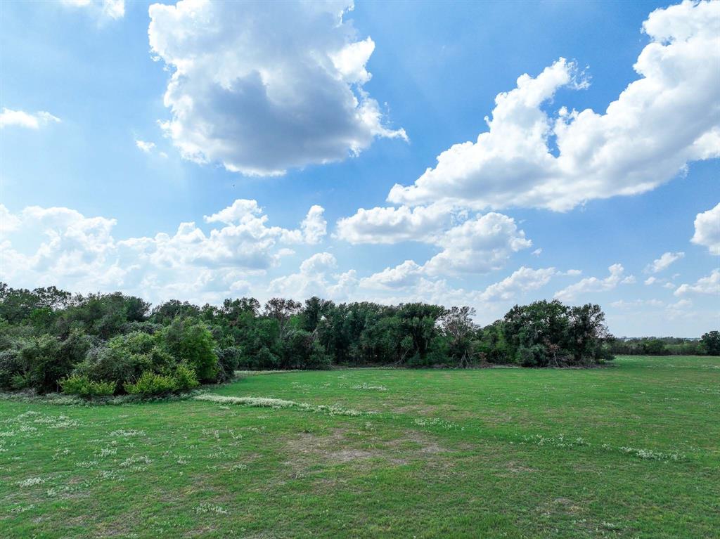 40 Acres Fm 2745, Kosse, Texas image 6