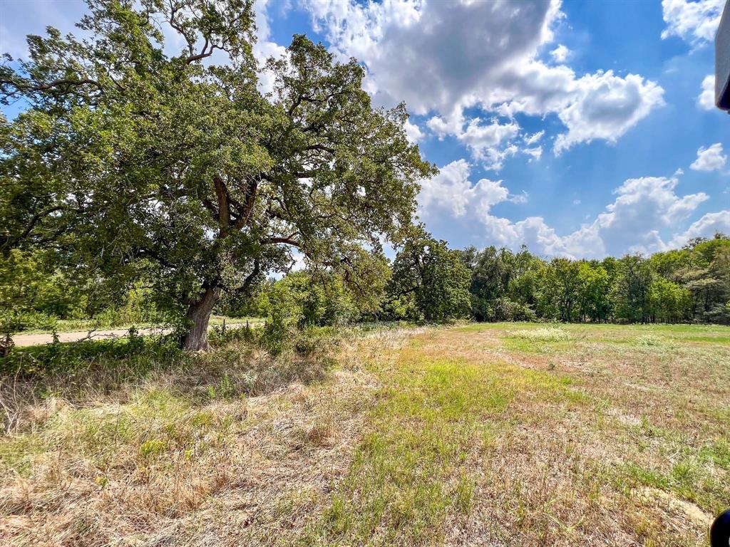 40 Acres Fm 2745, Kosse, Texas image 9