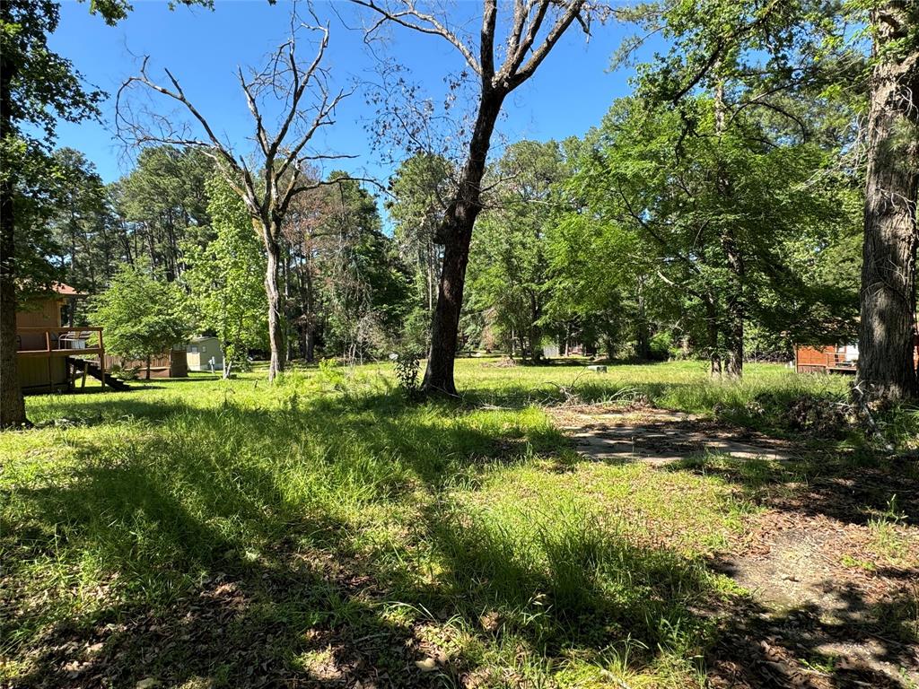 31 Whippoorwill Ln Ln, Trinity, Texas image 3