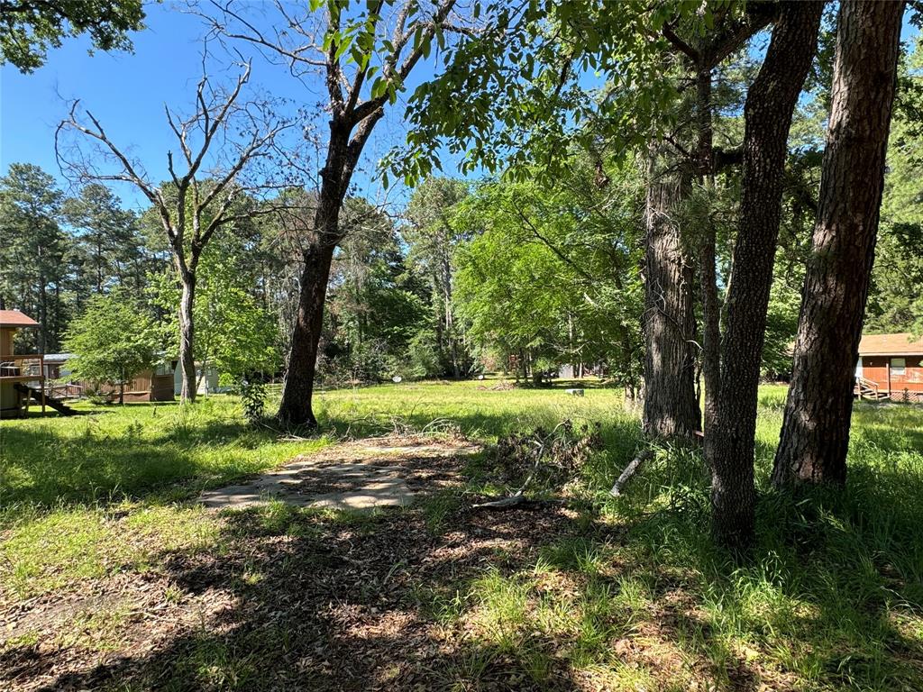 31 Whippoorwill Ln Ln, Trinity, Texas image 5