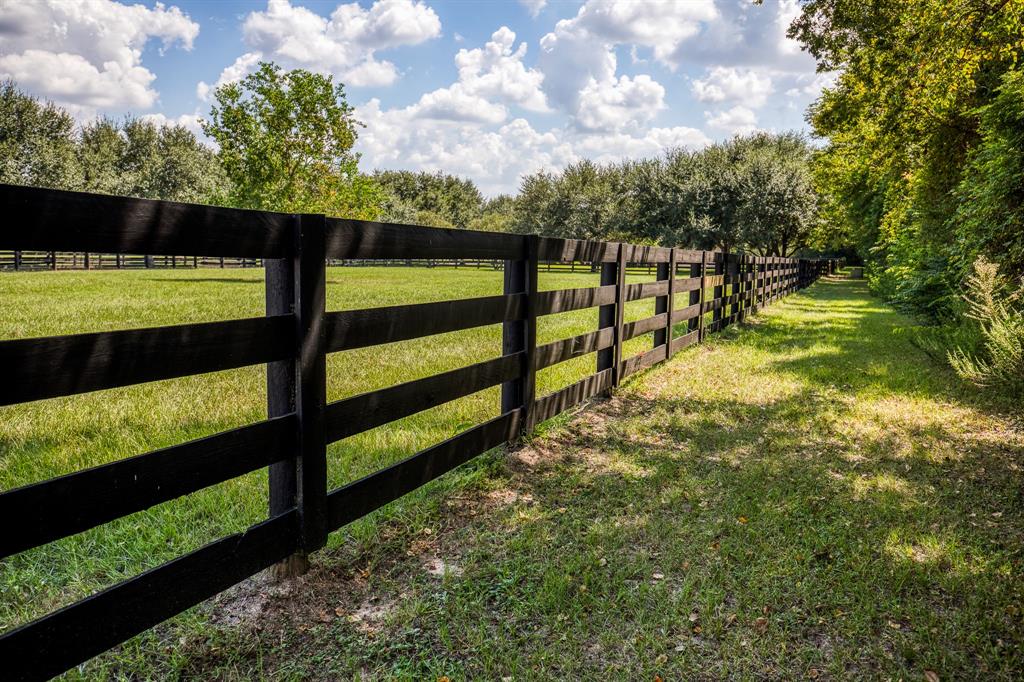 18703 Juergen Road, Tomball, Texas image 24