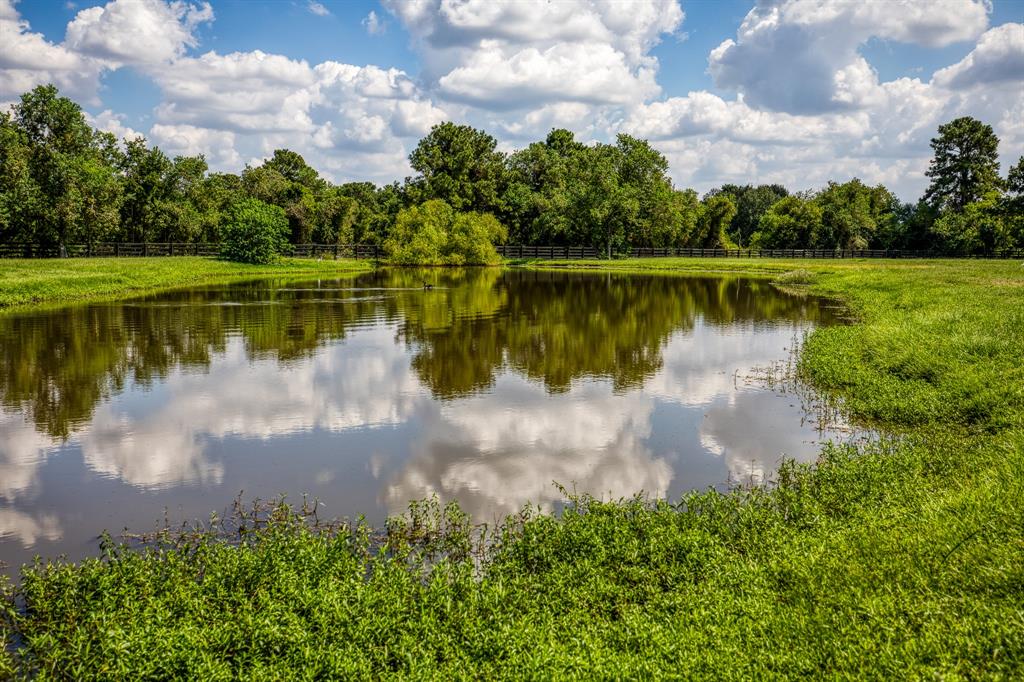 18703 Juergen Road, Tomball, Texas image 29