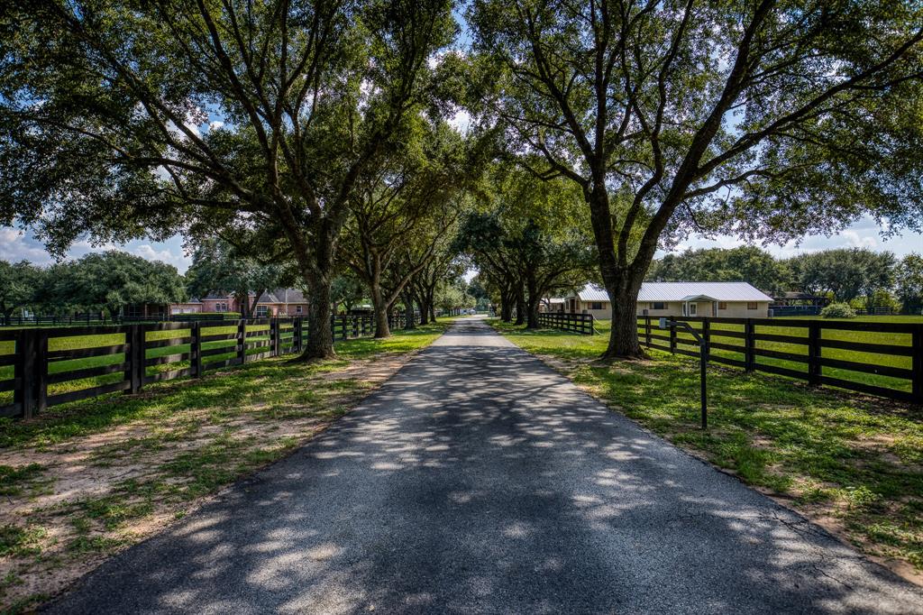 18703 Juergen Road, Tomball, Texas image 3