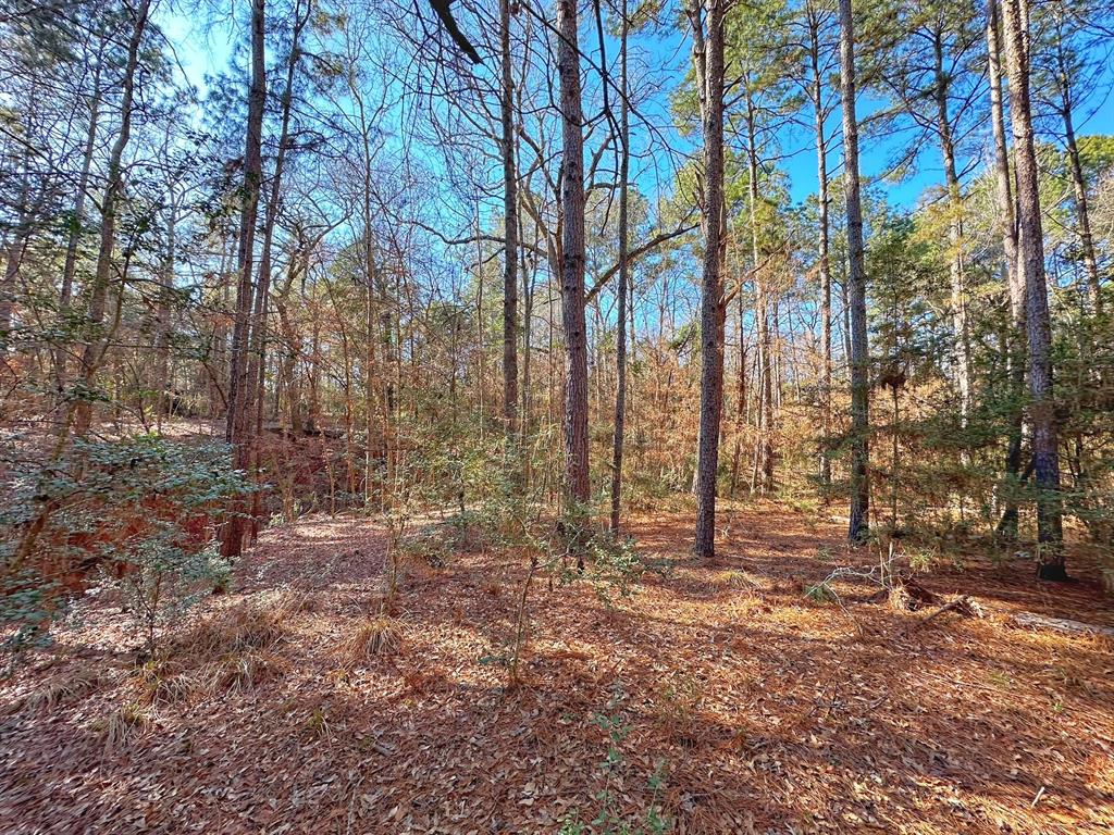 5 Ac Lassater Rd, Centerville, Texas image 2