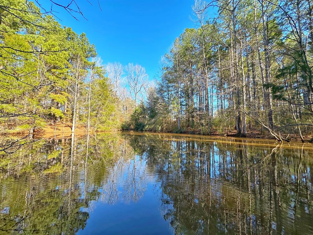 5 Ac Lassater Rd, Centerville, Texas image 1