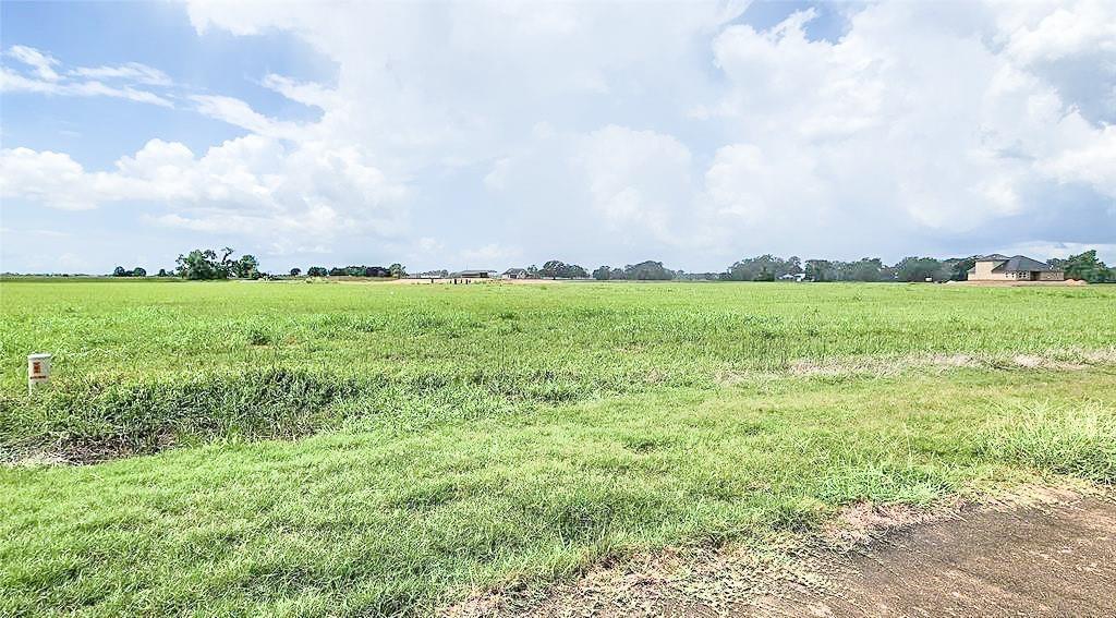 Conestoga Trail, Angleton, Texas image 1