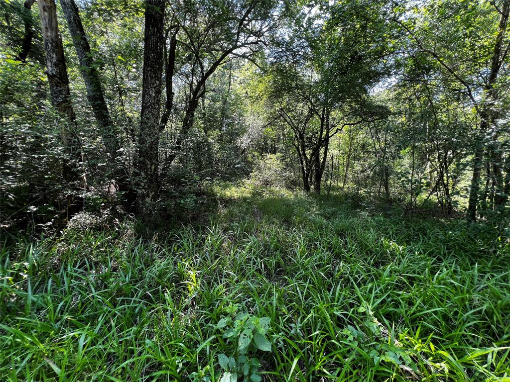 Hwy 105, Hull, Texas image 12