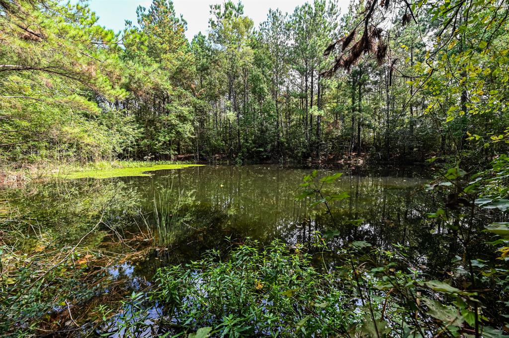 Hwy 105, Hull, Texas image 16