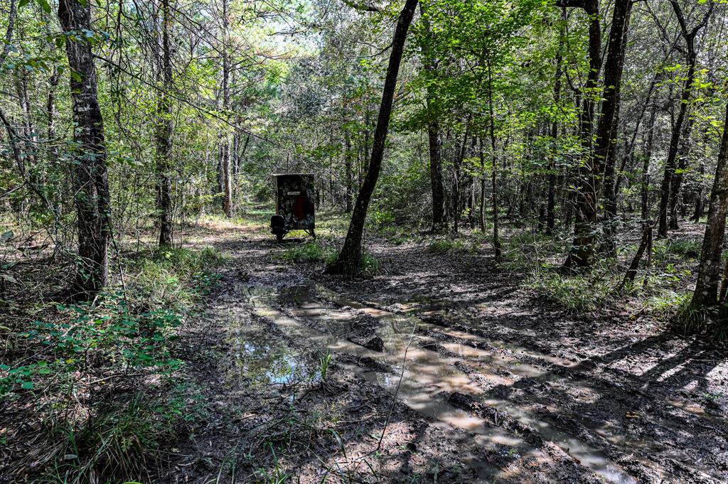 Hwy 105, Hull, Texas image 7