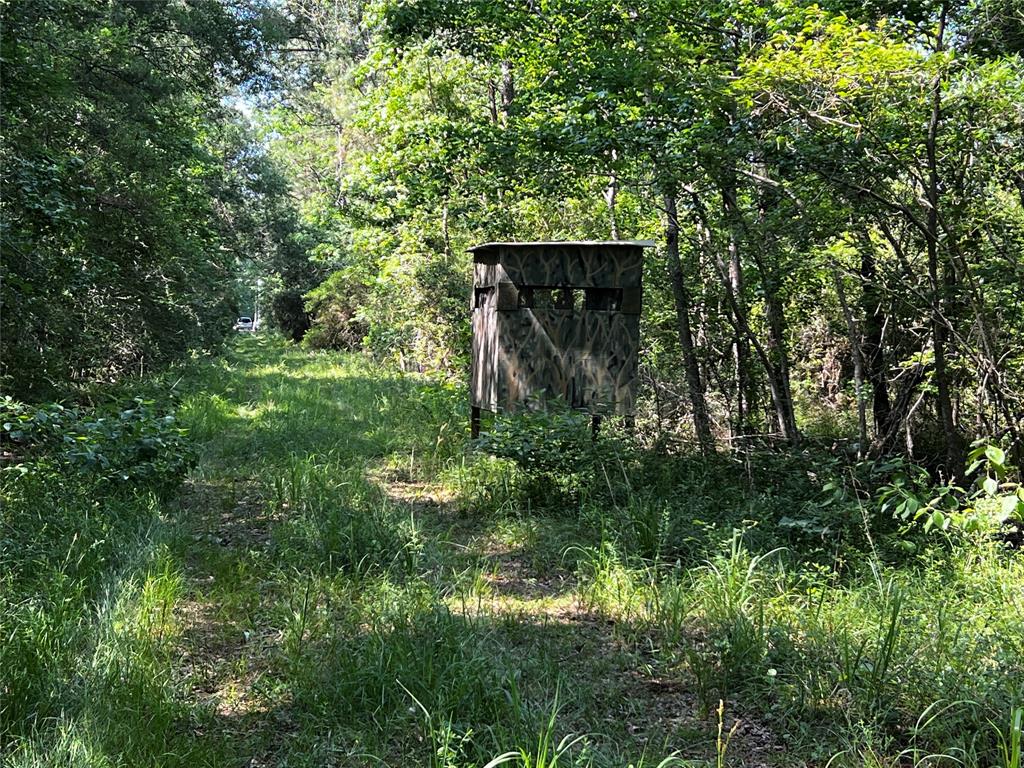 Hwy 105, Hull, Texas image 2