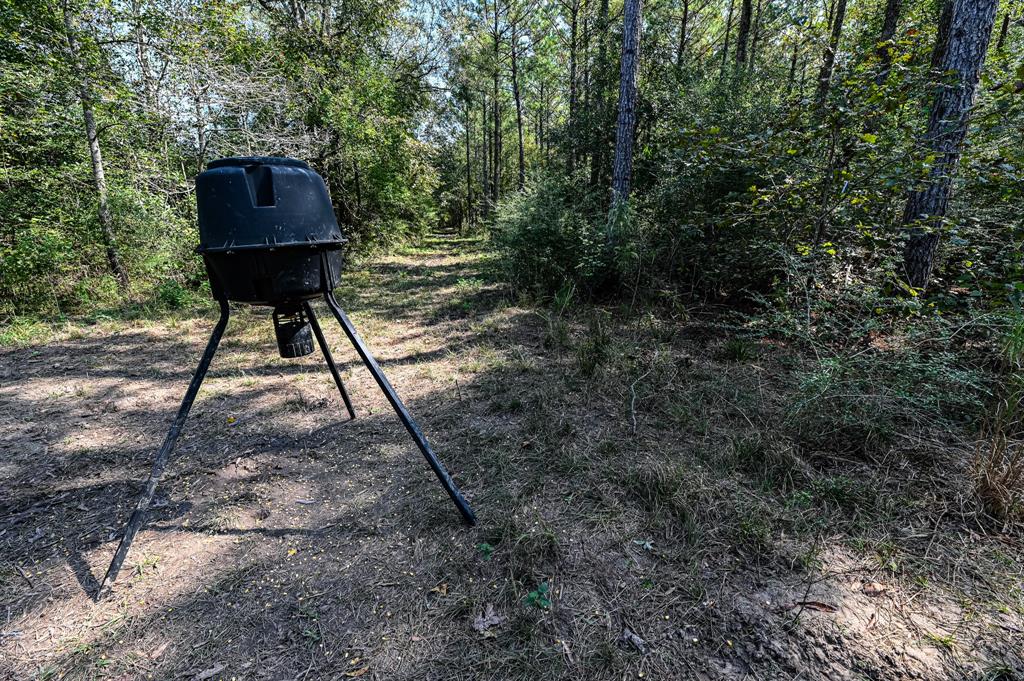 Hwy 105, Hull, Texas image 6