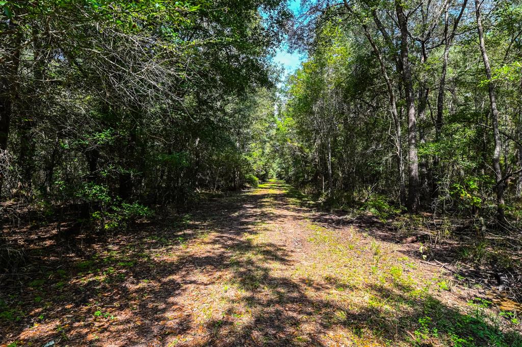 Hwy 105, Hull, Texas image 8