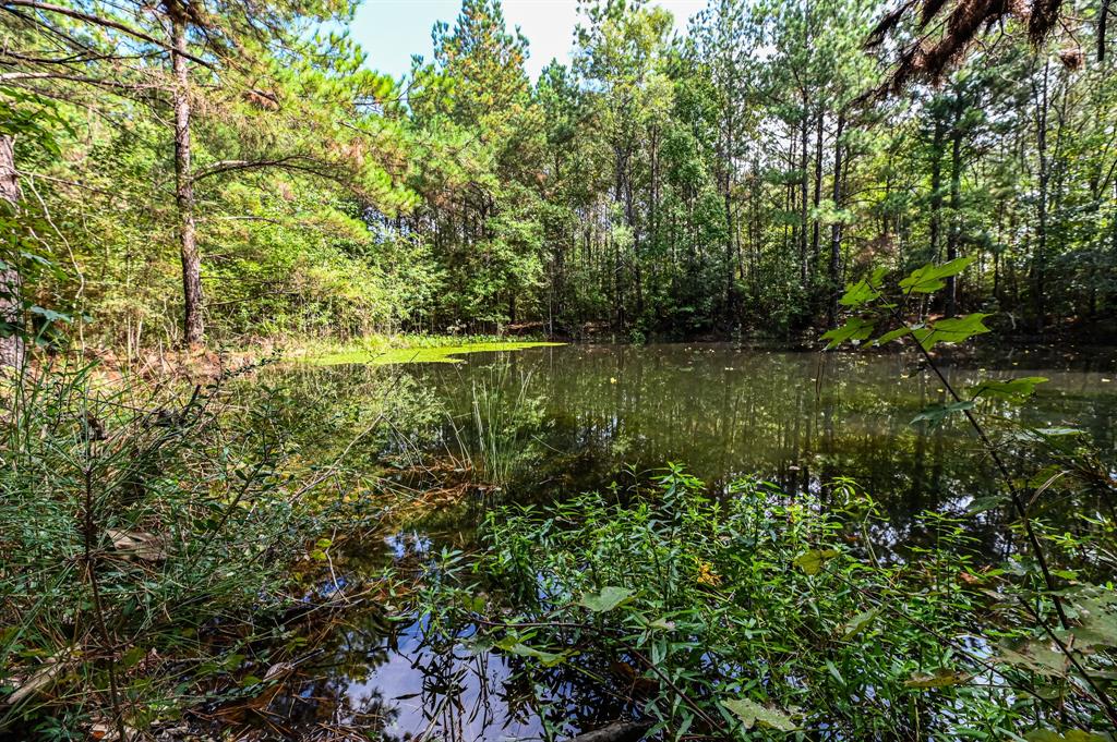 Hwy 105, Hull, Texas image 17