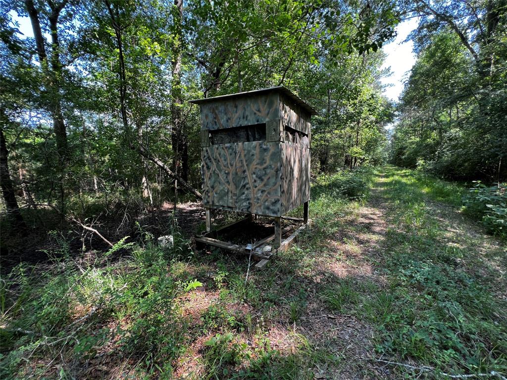 Hwy 105, Hull, Texas image 3