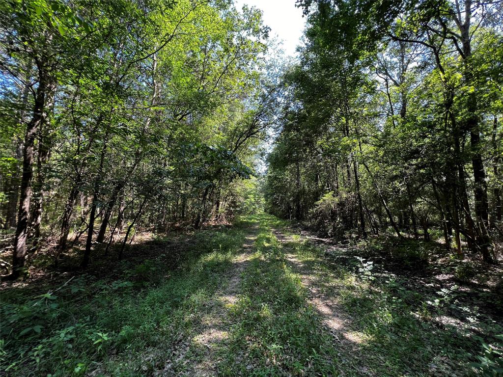 Hwy 105, Hull, Texas image 6