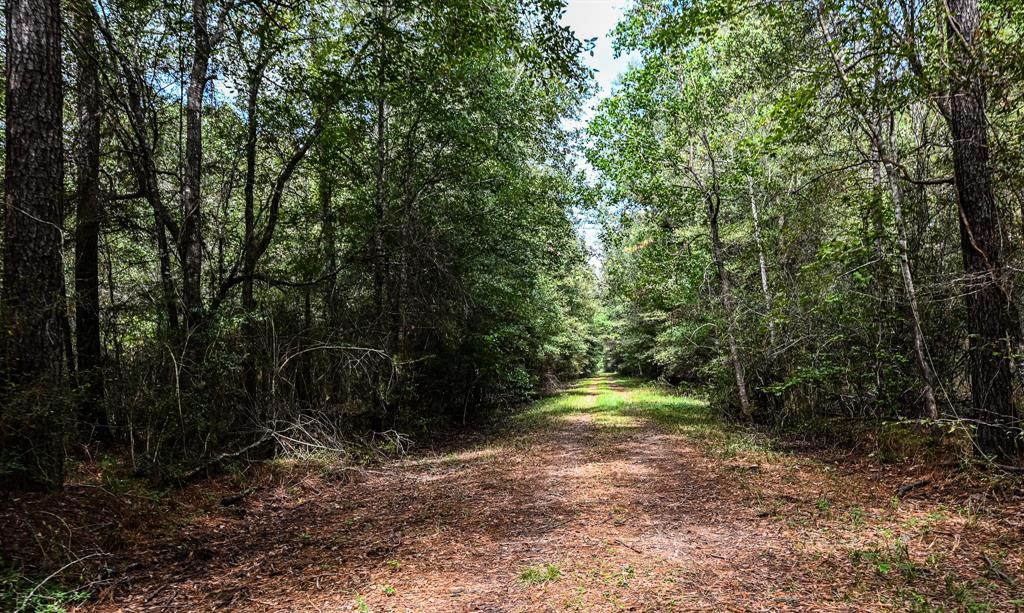 Hwy 105, Hull, Texas image 15