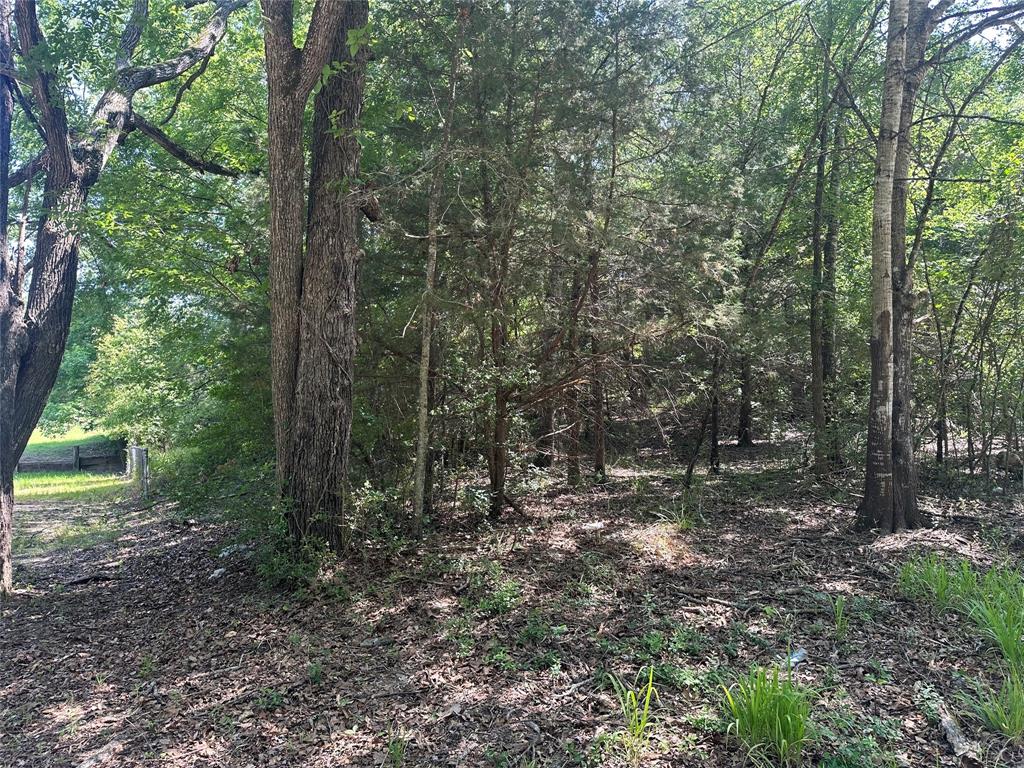 3 Lots Red Oak Street, Buffalo, Texas image 5