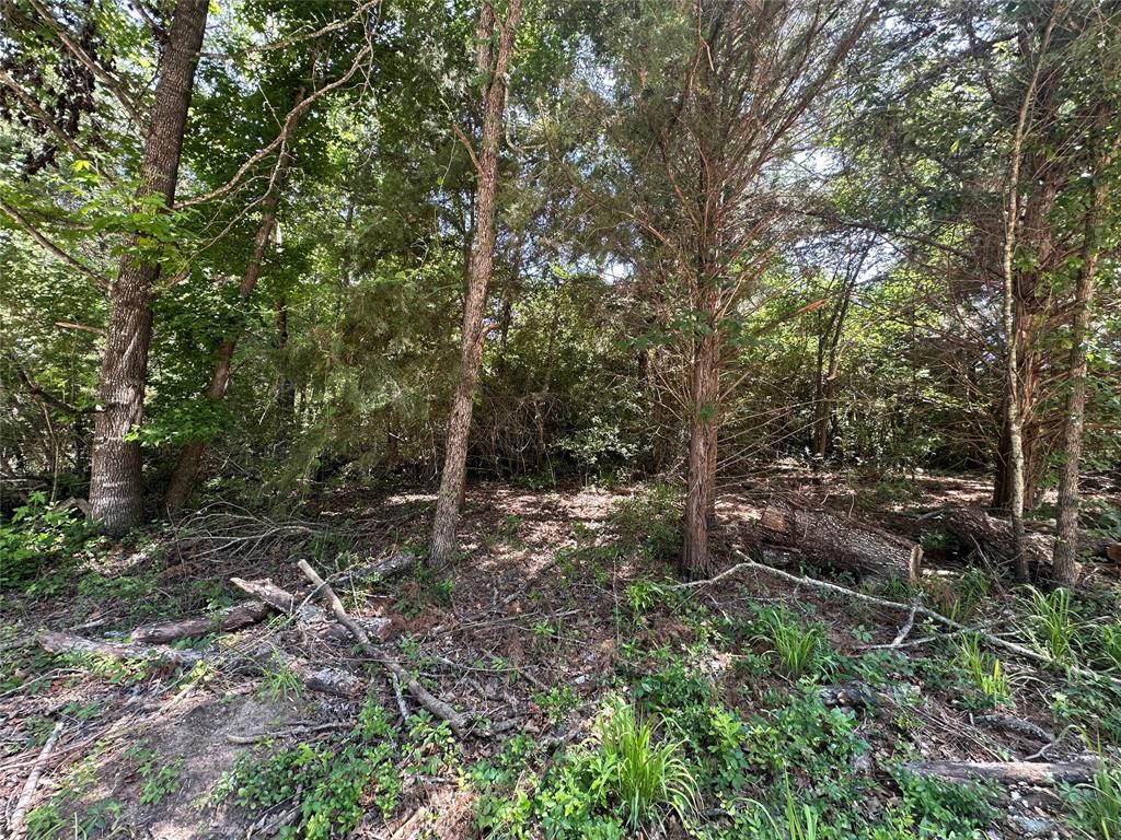 3 Lots Red Oak Street, Buffalo, Texas image 4