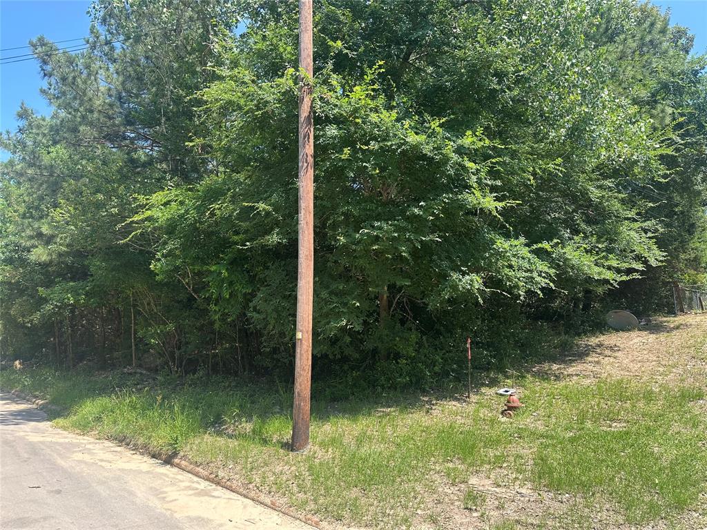 3 Lots Red Oak Street, Buffalo, Texas image 1