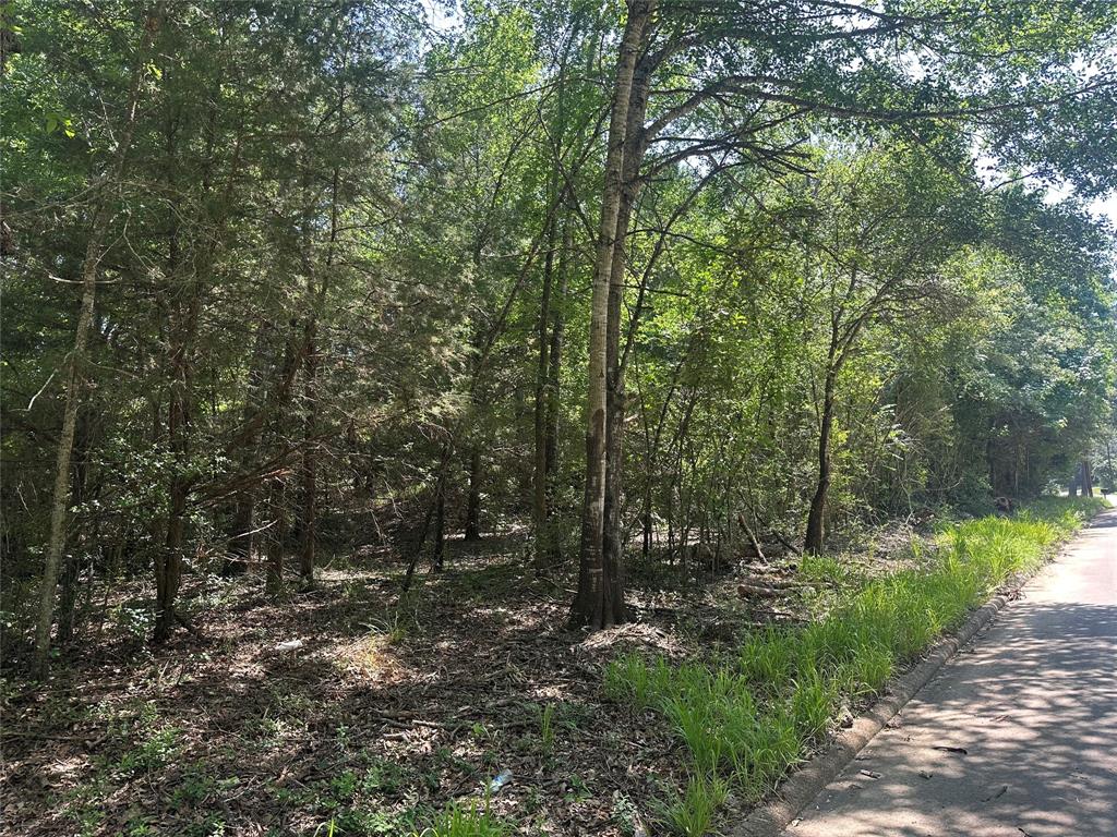 3 Lots Red Oak Street, Buffalo, Texas image 3