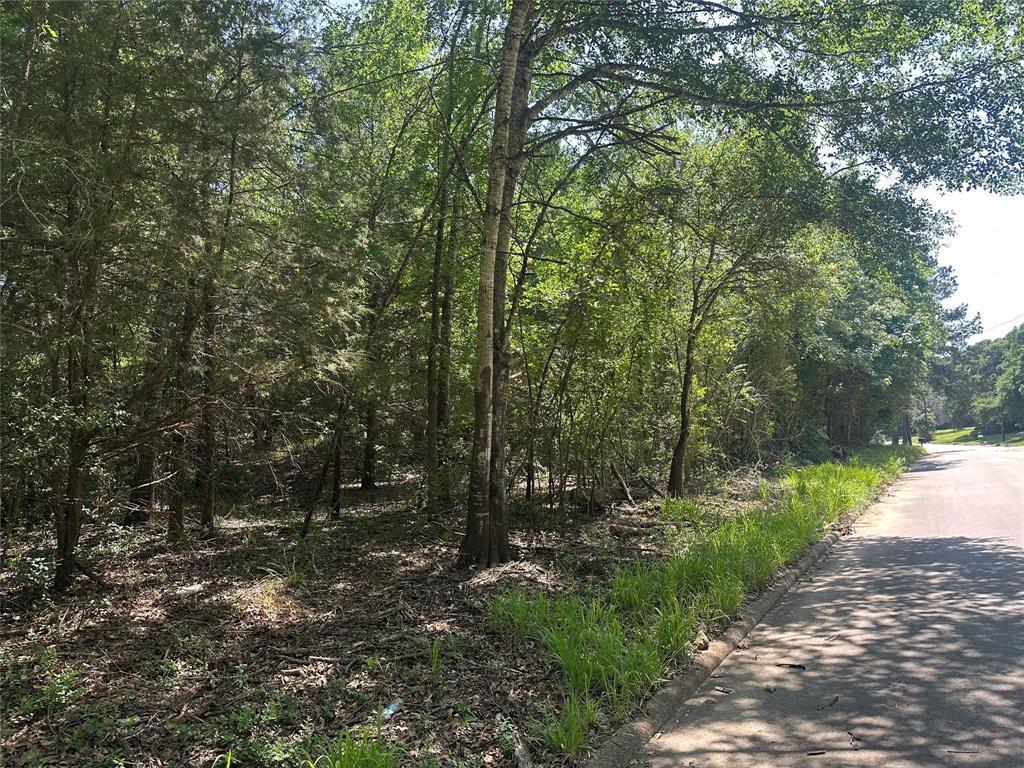 3 Lots Red Oak Street, Buffalo, Texas image 2