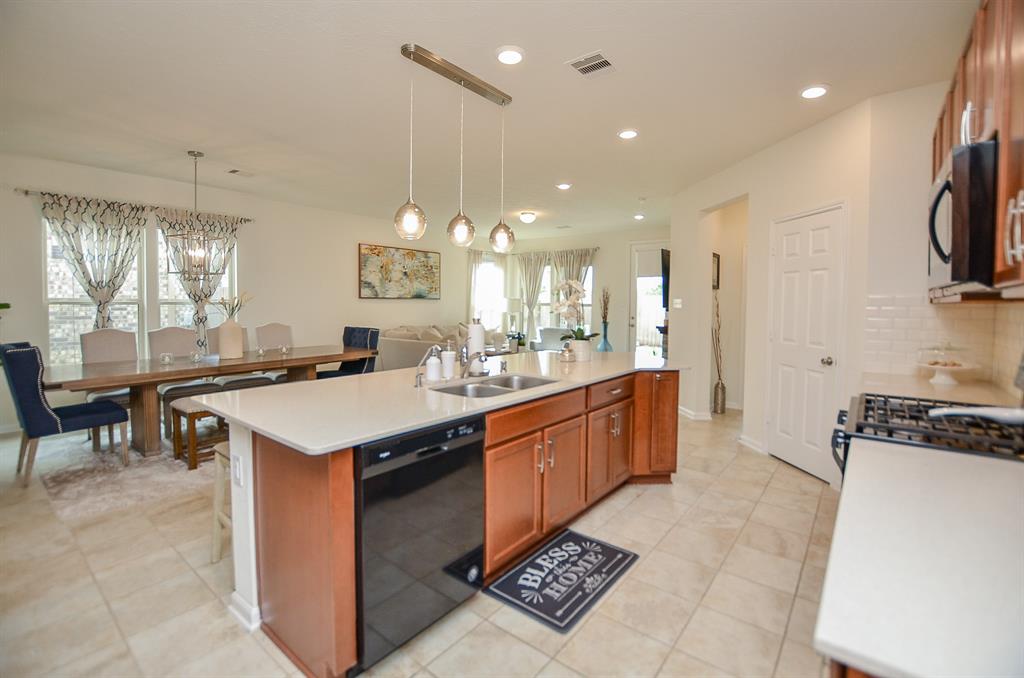 25319 Western Sage Lane, Richmond, Texas image 13