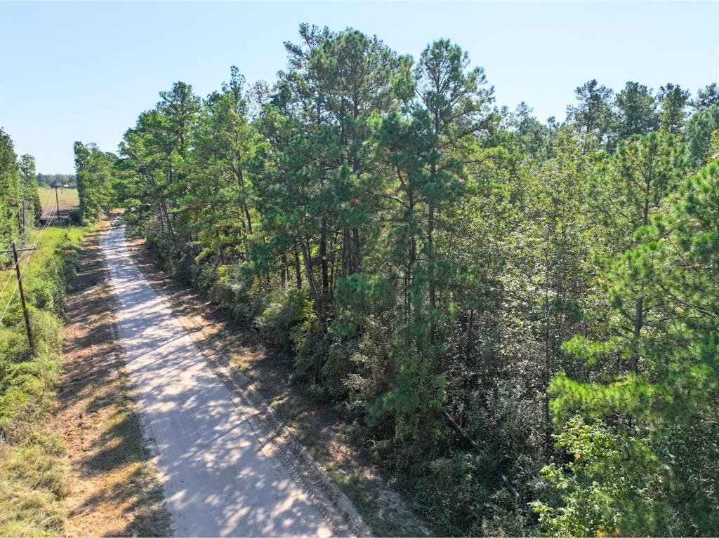 County Road 3575, Lovelady, Texas image 7