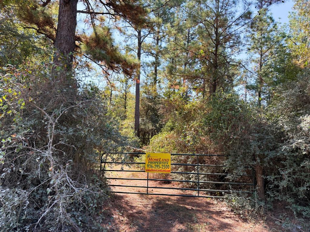 County Road 3575, Lovelady, Texas image 9