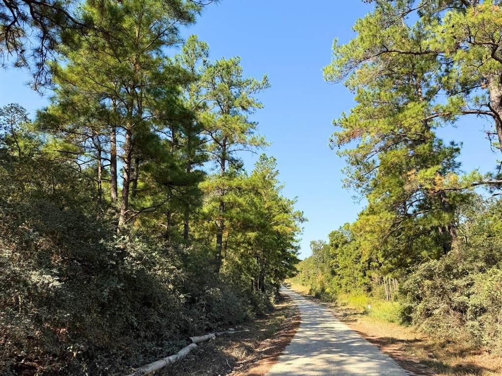 County Road 3575, Lovelady, Texas image 15