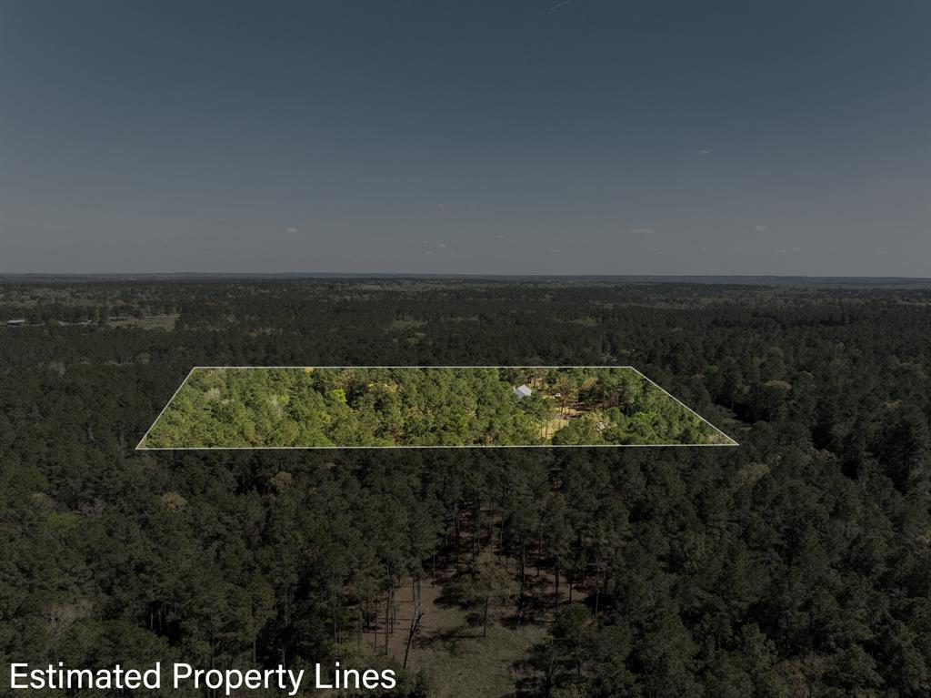 4569 Deep Forest Trail Trl, Navasota, Texas image 48