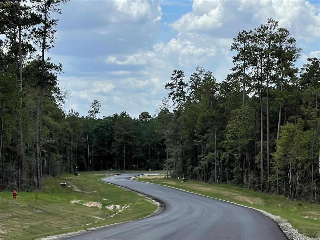 15795 Republic Ranch Road, Willis, Texas image 12