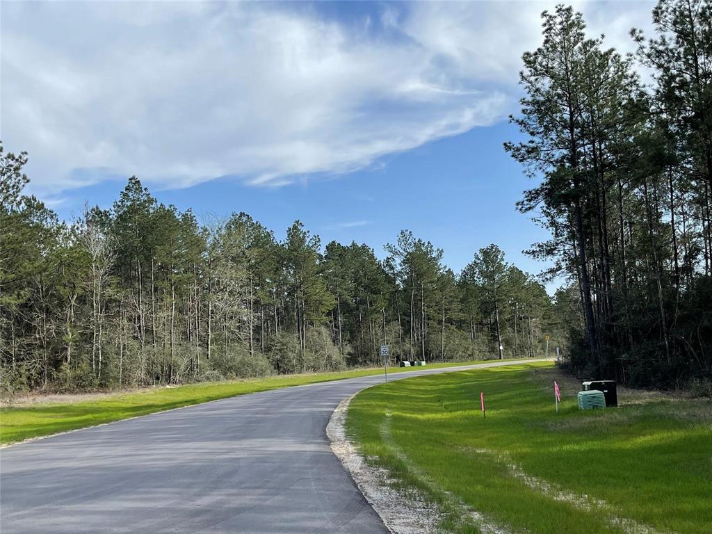 15795 Republic Ranch Road, Willis, Texas image 8