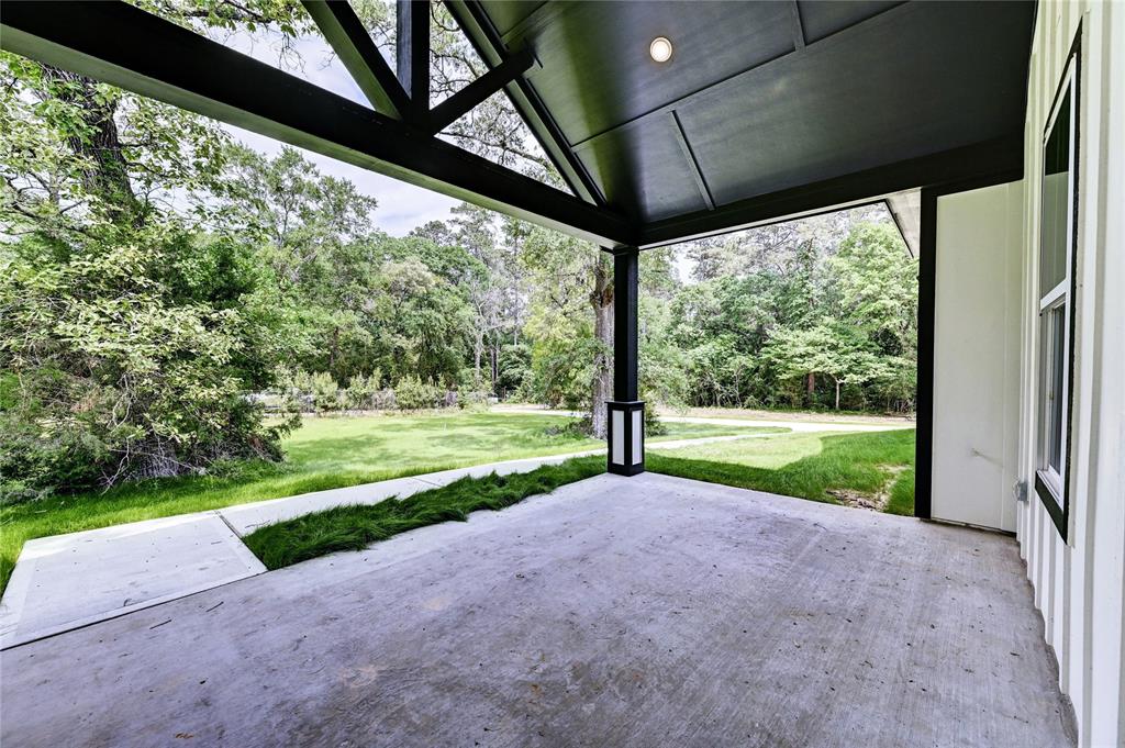 23572 Holly Lane, Hockley, Texas image 45