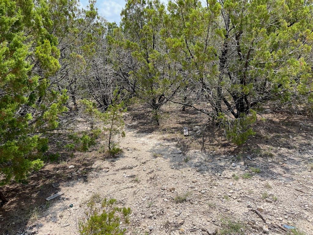 Dillon Drive, Copperas Cove, Texas image 2